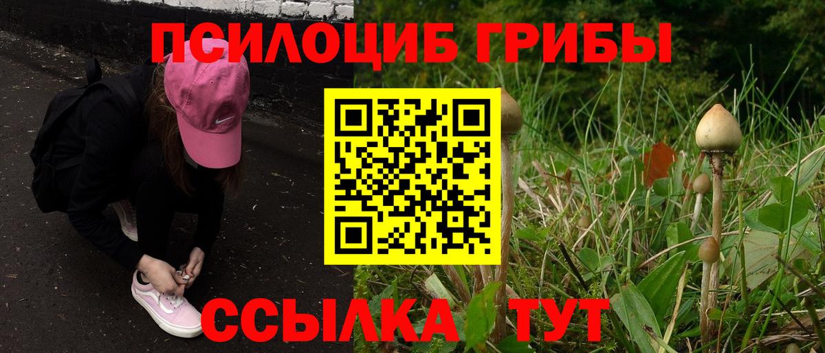 Псилоцибиновые грибы мицелий Котельники