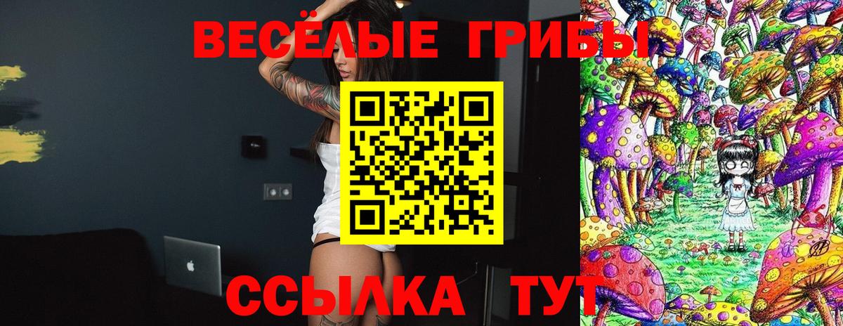 Котельники  ГЕРОИН  Меф МЯУ МЯУ   Кокаин  ГАШИШ  Вход с VPN  ГАШ 