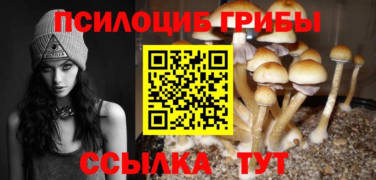 Галлюциногенные грибы Psilocybe  Вход с VPN  Котельники 