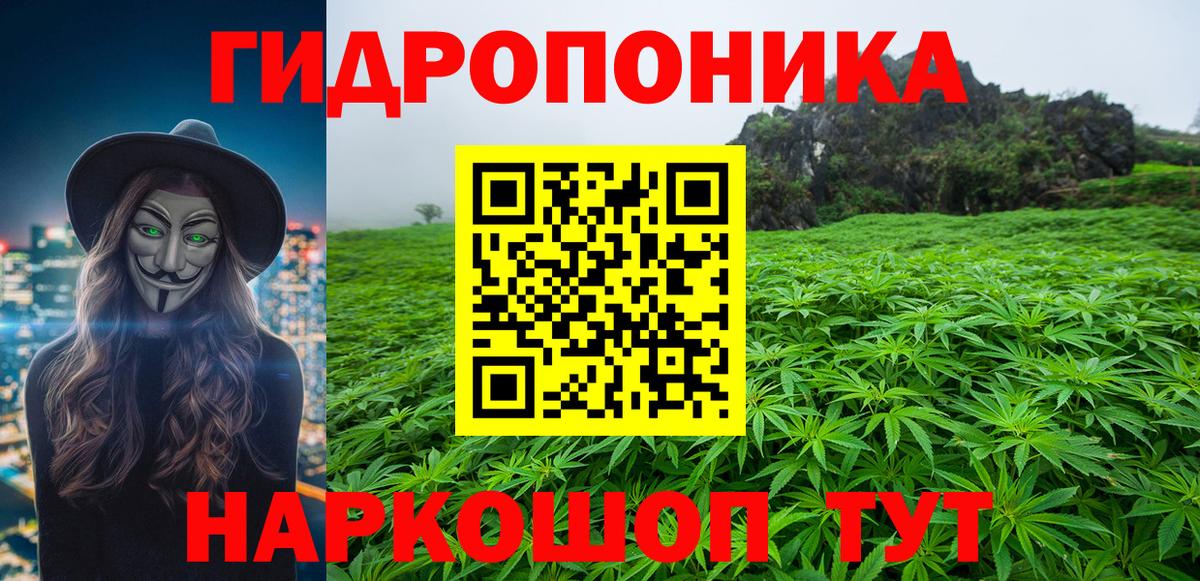 Котельники  Канабис сатива  Бошки марихуана Ganja  Вход с VPN  Конопля марихуана  Марихуана Amnesia 